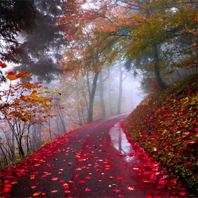 微信头像自然风景图片简单(34张)