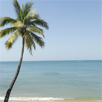 微信头像自然风景图片简单(34张)