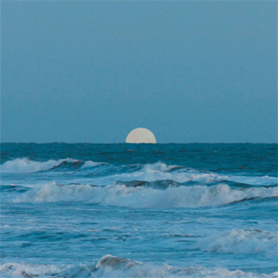 微信头像自然风景图片简单(34张)