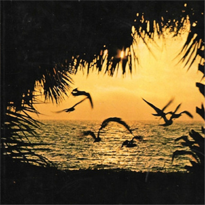 微信头像自然风景图片简单(34张)