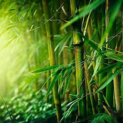 适合中老年的微信头像图片(优选23张)