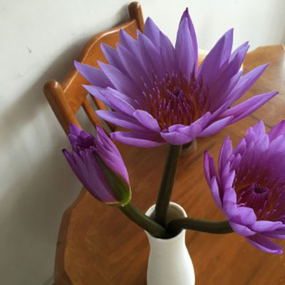 适合中老年的微信头像图片(优选23张)