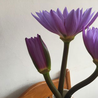 适合中老年的微信头像图片(优选23张)