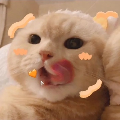 猫咪闺蜜头像两人一人一张可爱(优选18张)