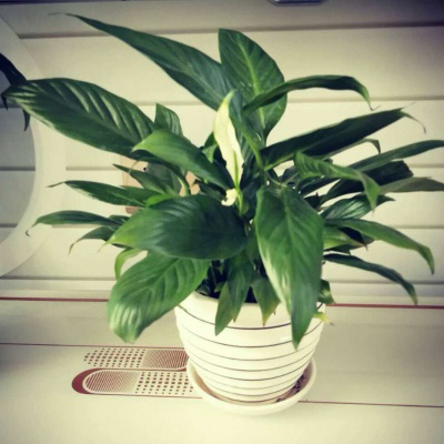 适合中年妈妈微信头像风景(精选28张)