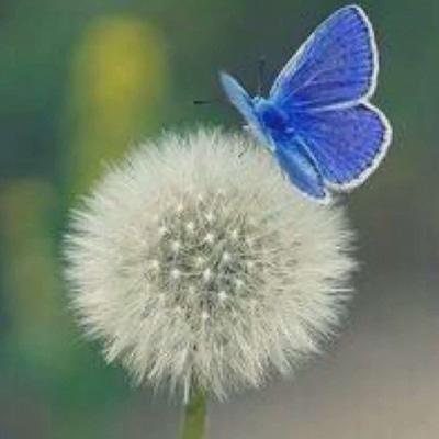 适合中年妈妈微信头像风景(精选28张)