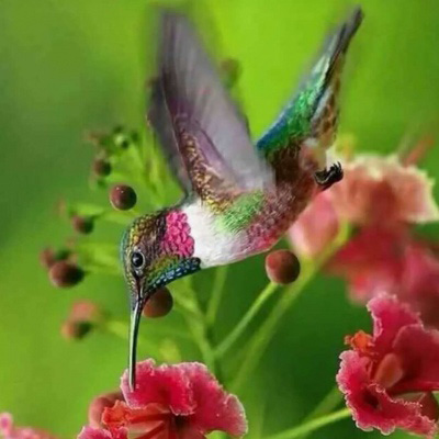 适合中年妈妈微信头像风景(精选28张)