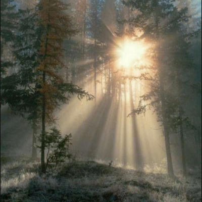 适合70后女人的微信头像图片(精选22张)