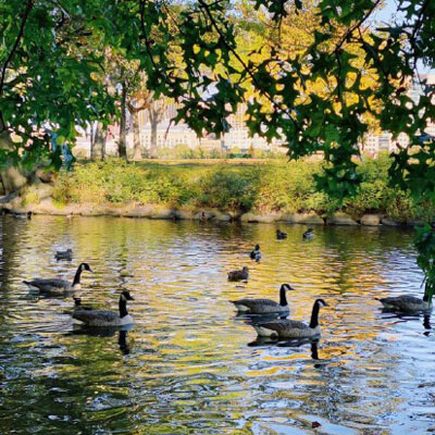 60多岁老人微信头像大全花(共20张)