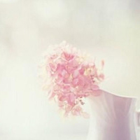 最好看的微信花朵头像图片大全(共16张)