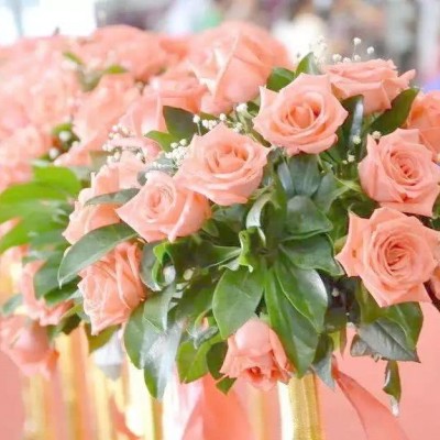 最好看的微信花朵头像好运(优选16张)