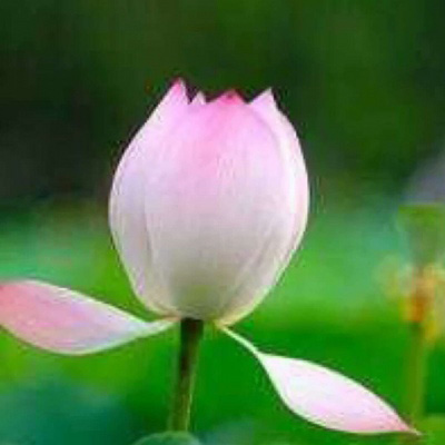 70后妈妈微信头像风景清晰(精选20张)