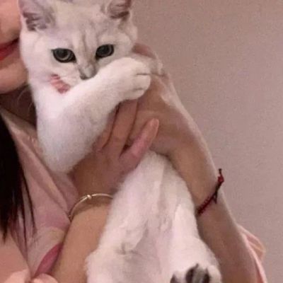 最难找到的情头(共18张)