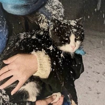 最难找到的情头(共18张)