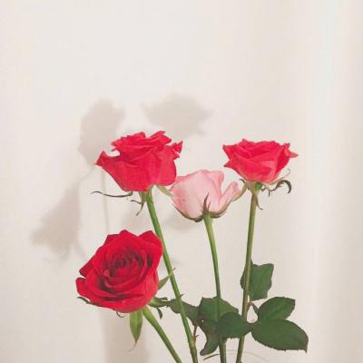 一辈子财气又顺利微信头像(22张)