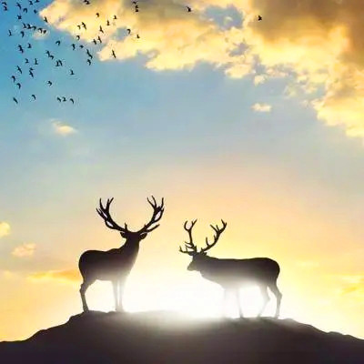 2023微信最吉利的好看头像(20张)