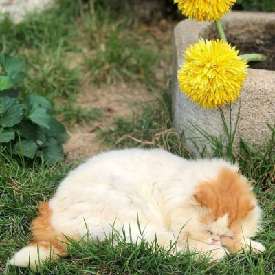 适合40岁左右的人的头像(精选34张)