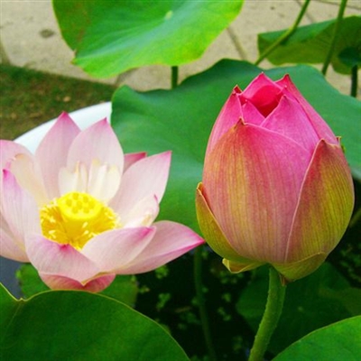 适合40岁左右的人的头像(精选34张)