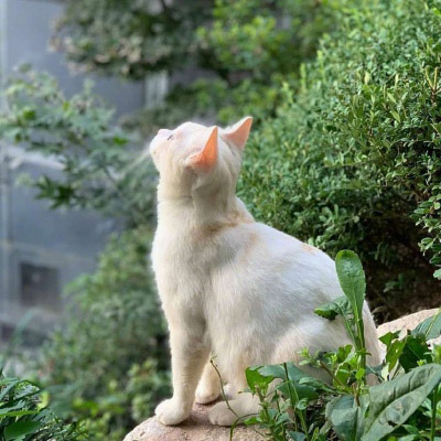 适合40岁左右的人的头像(精选34张)