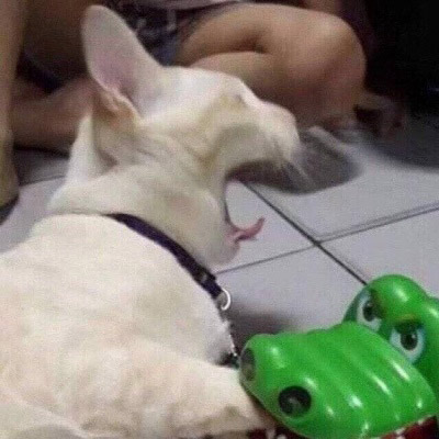 精致高雅的四十岁女人头像(优选38张)