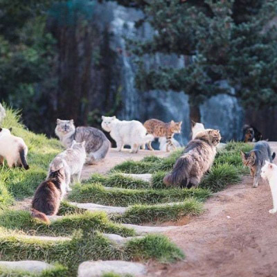 精致高雅的四十岁女人头像(优选38张)