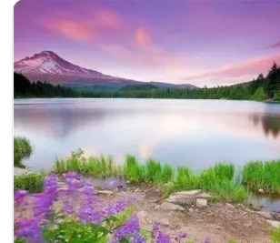 最招财的微信头像图片(共16张)