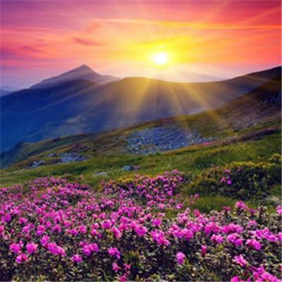 最招财的微信头像图片(共16张)