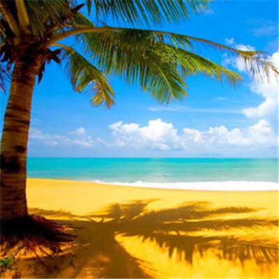 最招财的微信头像图片(共16张)