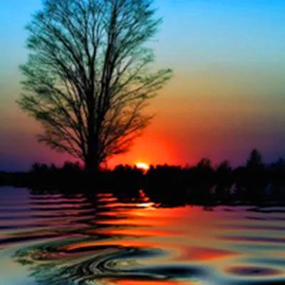 最招财聚财的山水微信头像(精选22张)