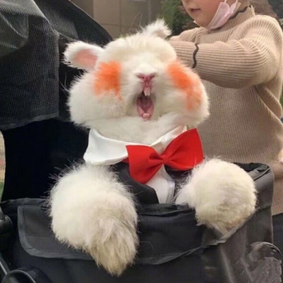 可爱又不失沙雕的头像(共18张)