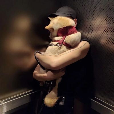 最火头像男生高清图片大全(优选22张)