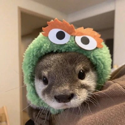 网上最火的图片头像(22张)