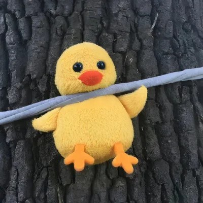 网上最火的图片头像(22张)