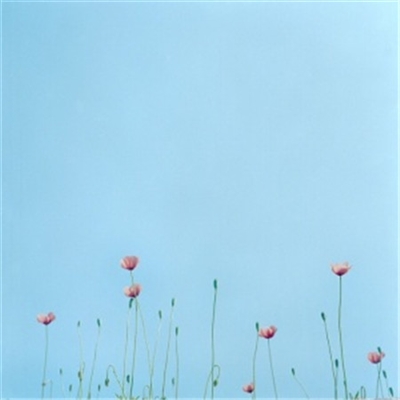 简单干净好看微信头像温馨的微信头像(优选22张)