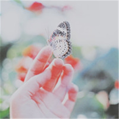 简单干净好看微信头像温馨的微信头像(优选22张)