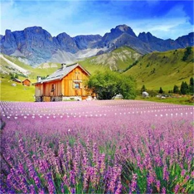 2023年微信头像最吉利好运图片(精选24张)