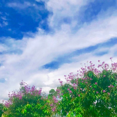 蓝天白云图片微信头像大全(精选20张)