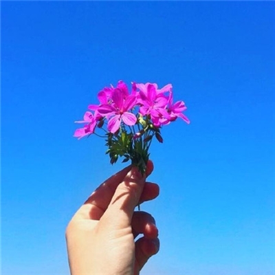 阳光干净的微信头像高清(优选22张)