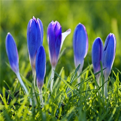 阳光干净的微信头像高清(优选22张)