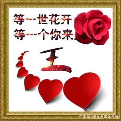 2023年王姓微信头像图片大全(22张)