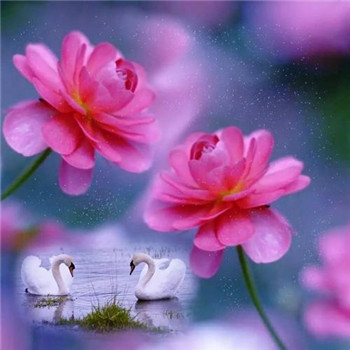 23年能带来好运的微信头像(共24张)