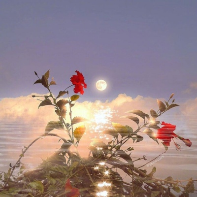 23年能带来好运的微信头像(共24张)