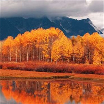 23年能带来好运的微信头像(共24张)