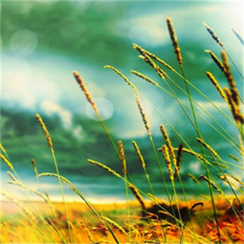 23年能带来好运的微信头像(共24张)