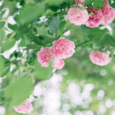 23年能带来好运的微信头像(共24张)