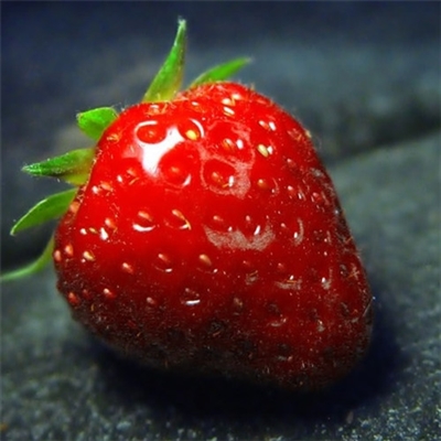 23年能带来好运的微信头像(共24张)