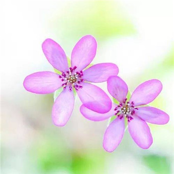 23年能带来好运的微信头像(共24张)