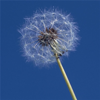 23年能带来好运的微信头像(共24张)