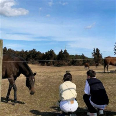 干净好看的情侣头像一男一女(优选22张)