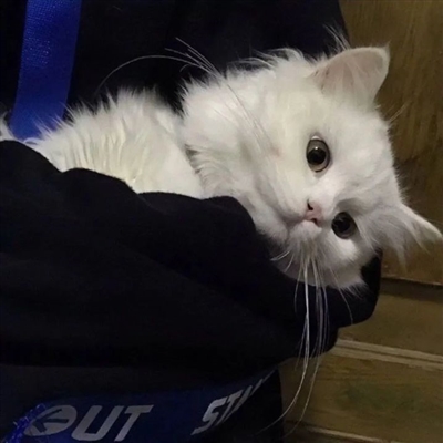 超好看丧气女生头像(优选22张)